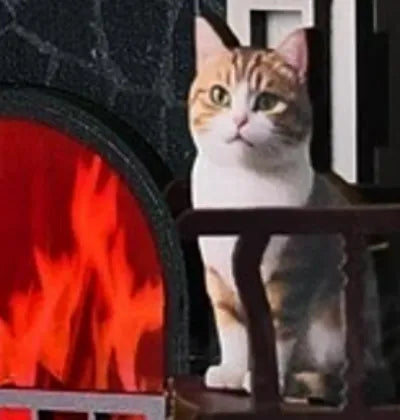 chaton mignon
