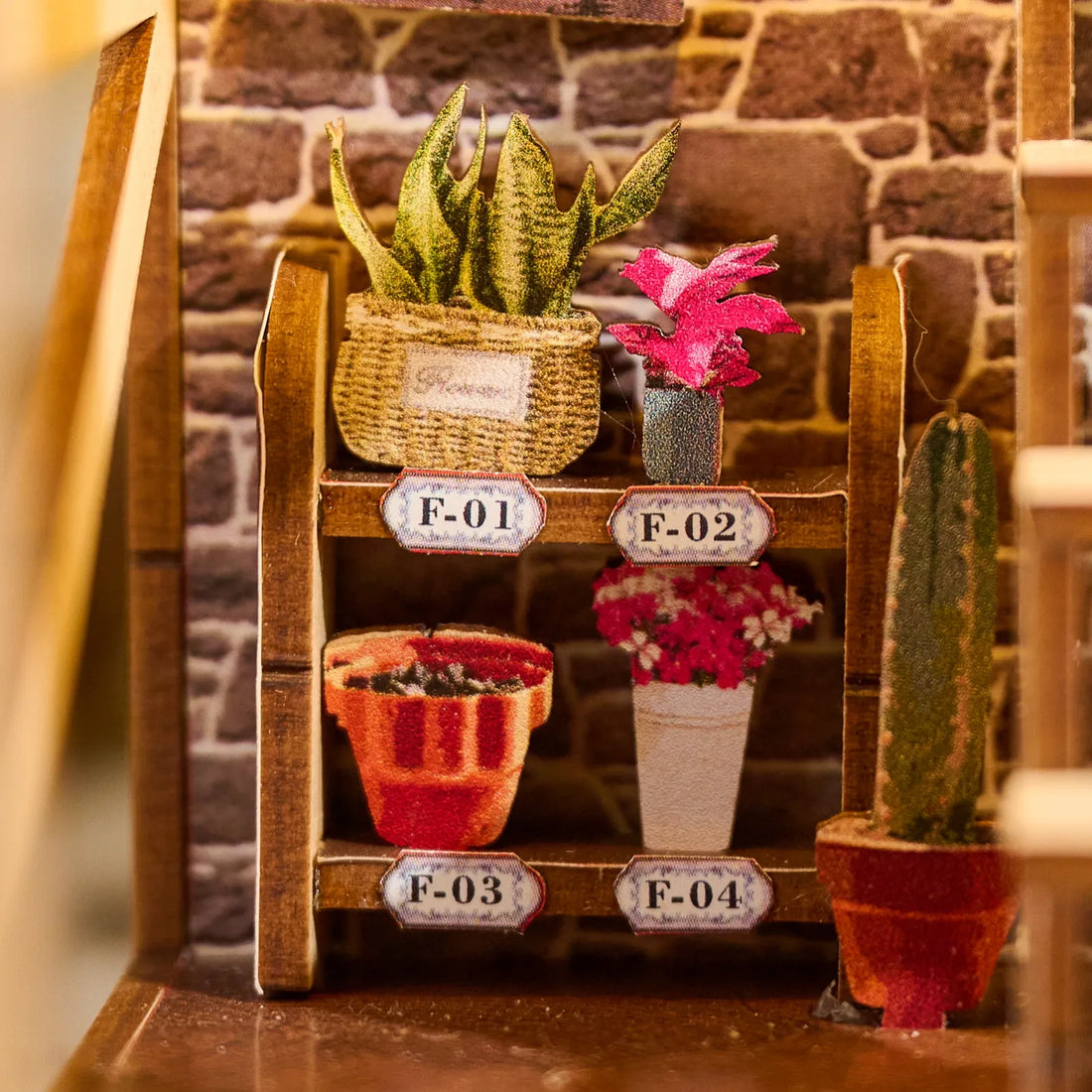 Étagère rustique et plantes miniatures en pot